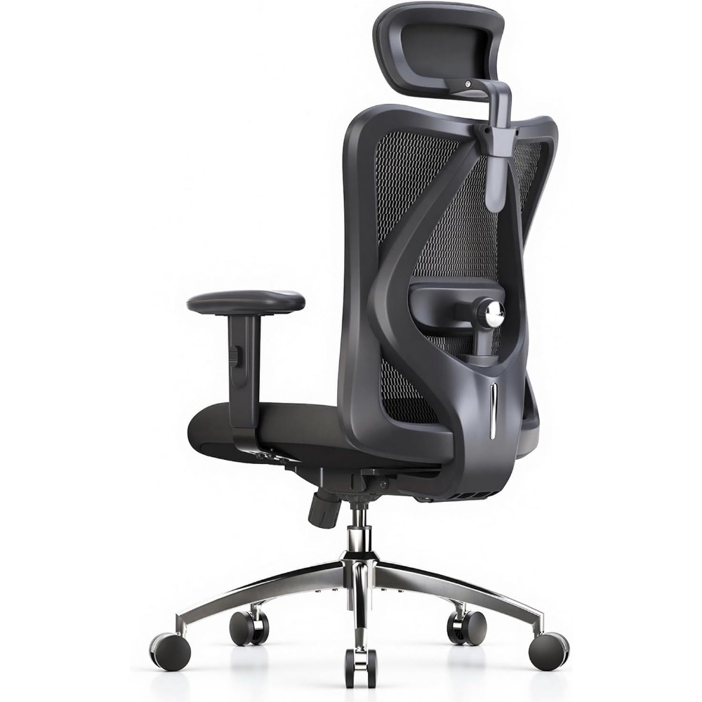 Chaise de bureau ergonomique e - Ergonomic Office Chair avis et prix