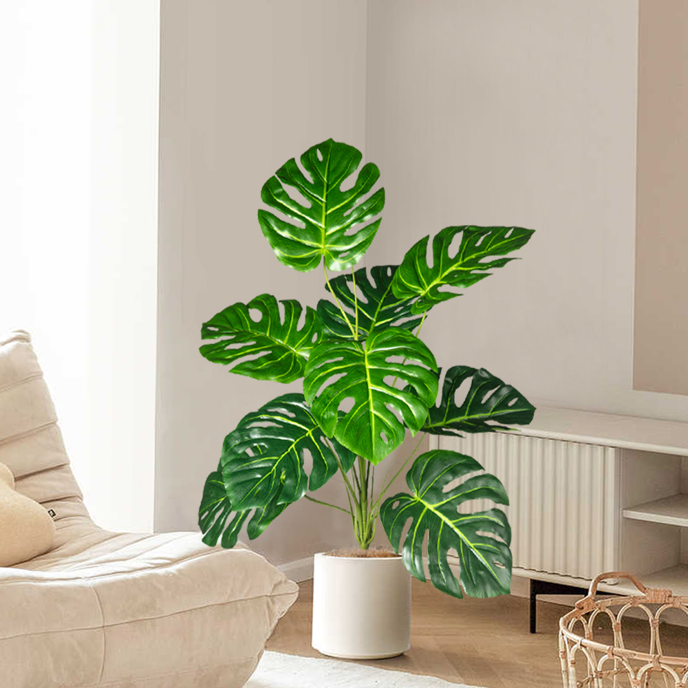 Palmier Monstera Él70-100cm, f - Home Office Layout avis et prix